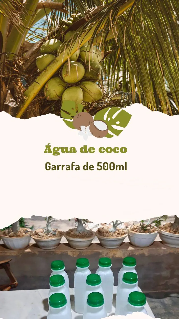 Água de coco em garrafa de 500 ml